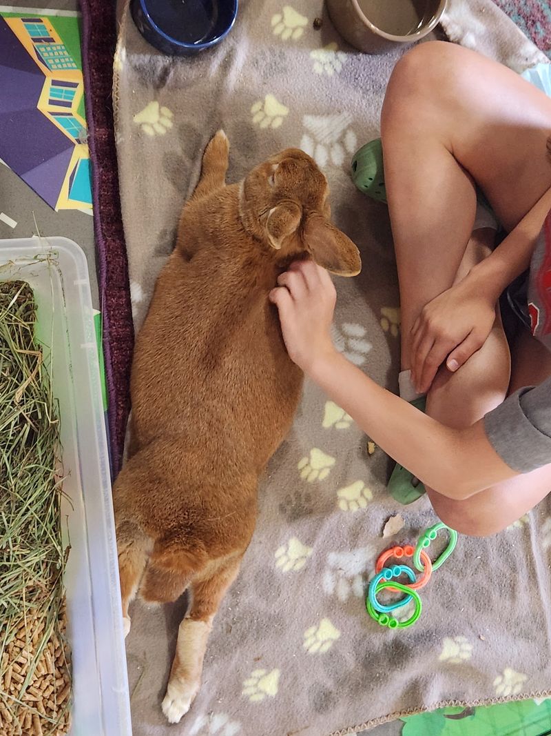 Every Bit Of Support Keeps The Bunnies Hopping
