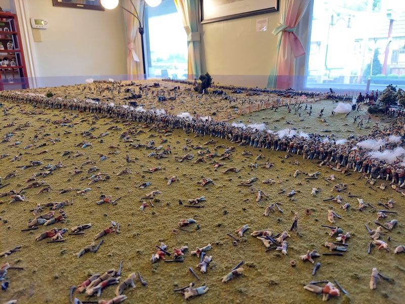 The Cat Census Recently Hit an Astonishing 10,000 Figures