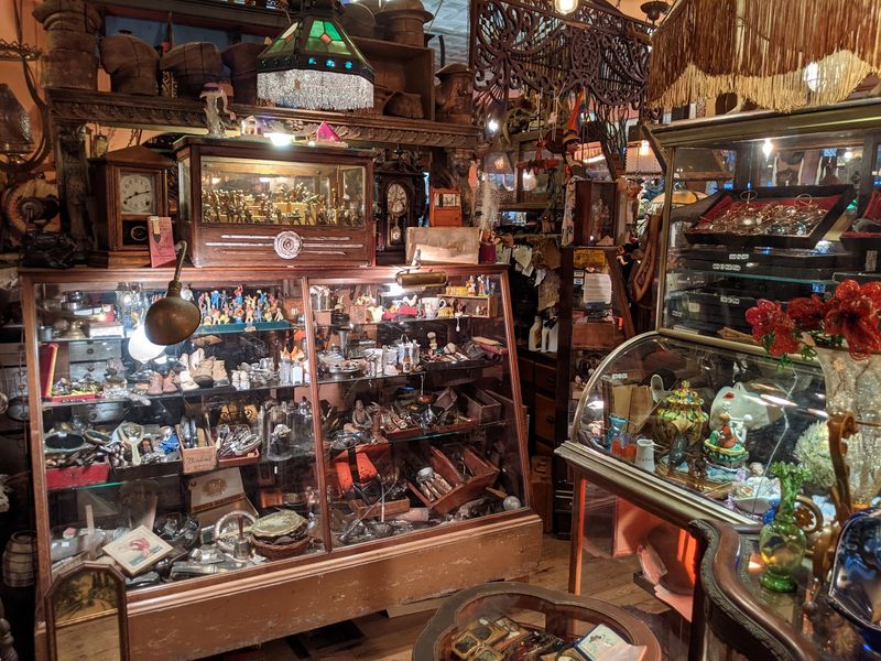 Every Inch Feels Like A Victorian Curiosity Cabinet