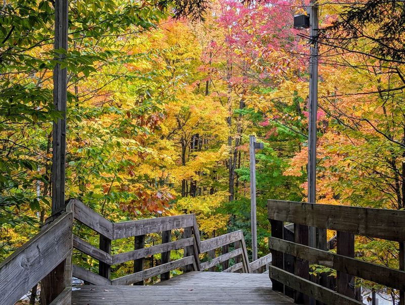 Every Season Offers A Different View Every Season Offers A Different View