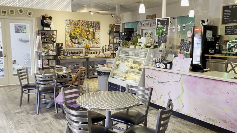 Tiered Pricing Makes Cat Time Accessible to Everyone