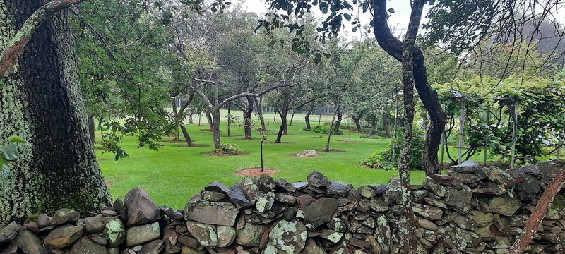 Every Stone Wall Here Tells A Family Story