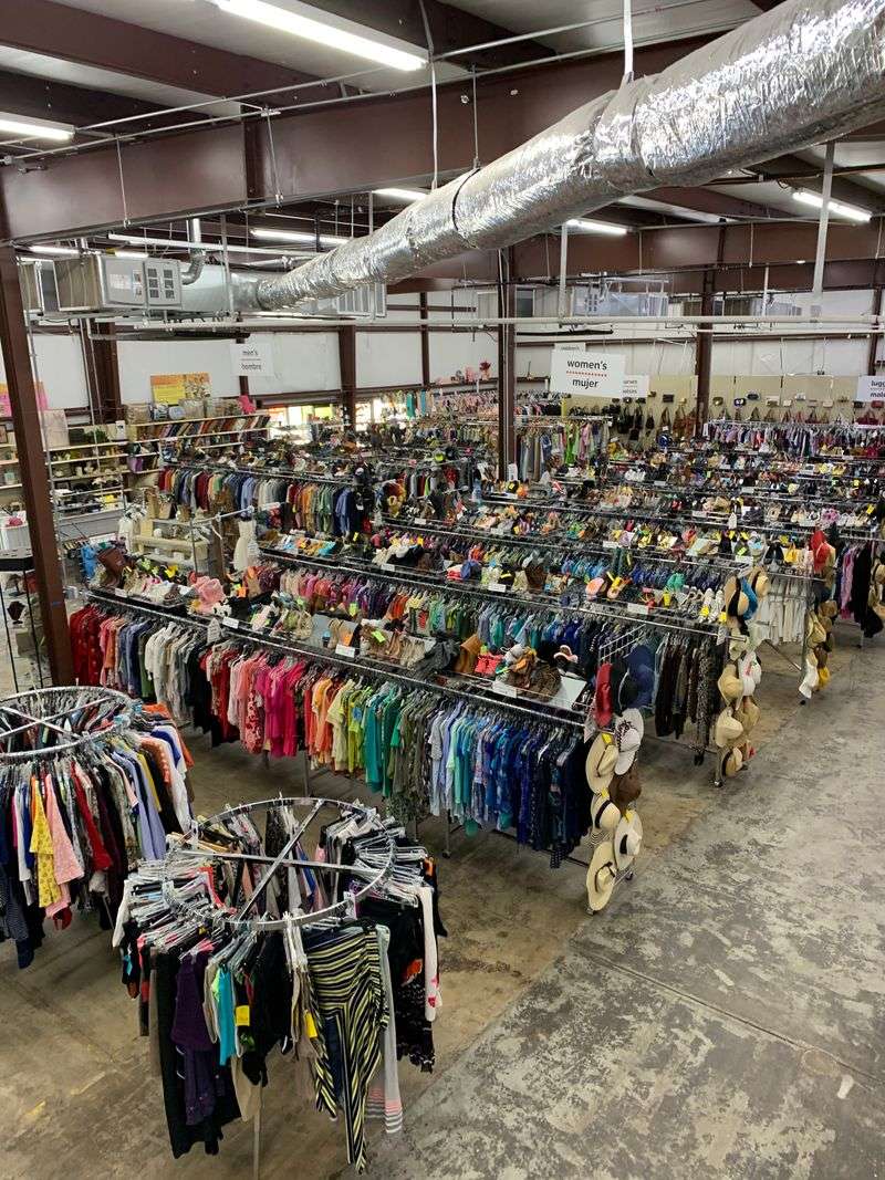 Unexpected Finds That Make Every Visit Different