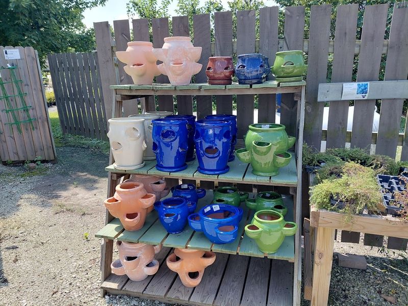 Everything For The Planting Mission