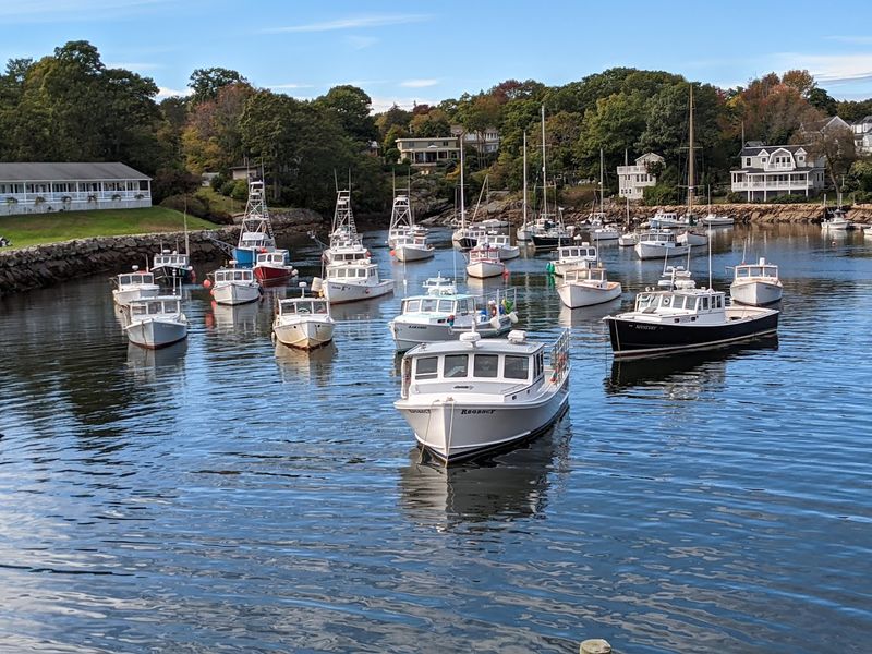 Maine Is The Only Place To See Puffins In The U.S.