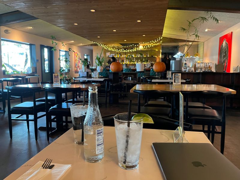 History And Ownership Snapshot