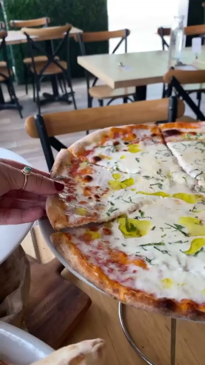 A Snapshot Of History and Recognition