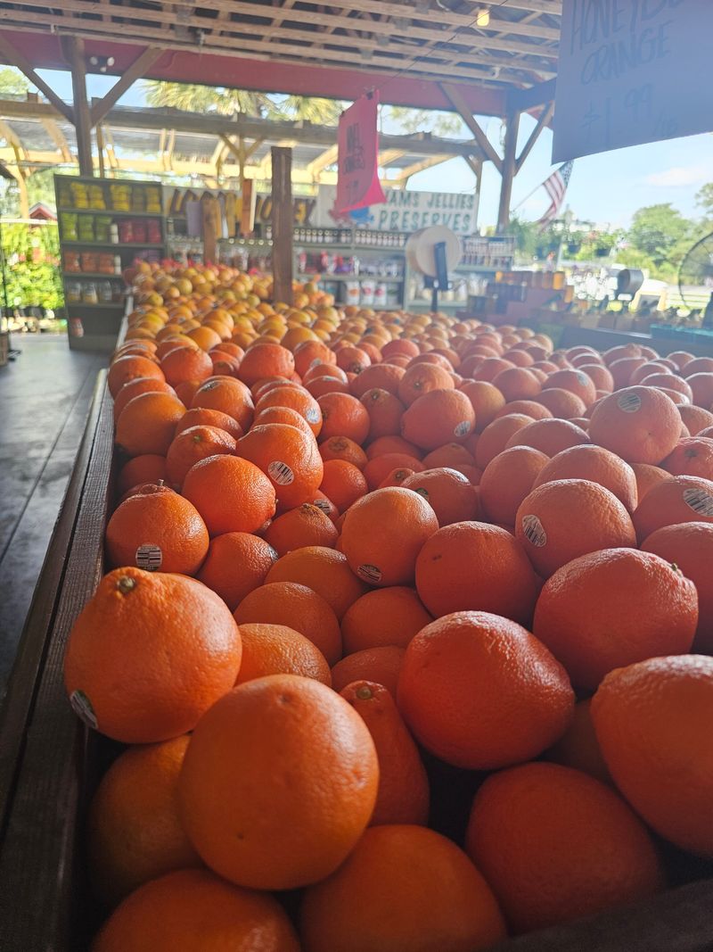 Hours Of Operation And Best Times To Visit