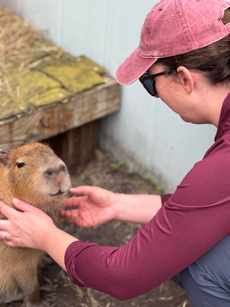 History, Mission, And What Makes It Different