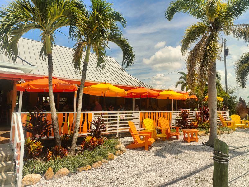 A Brief History And Ownership