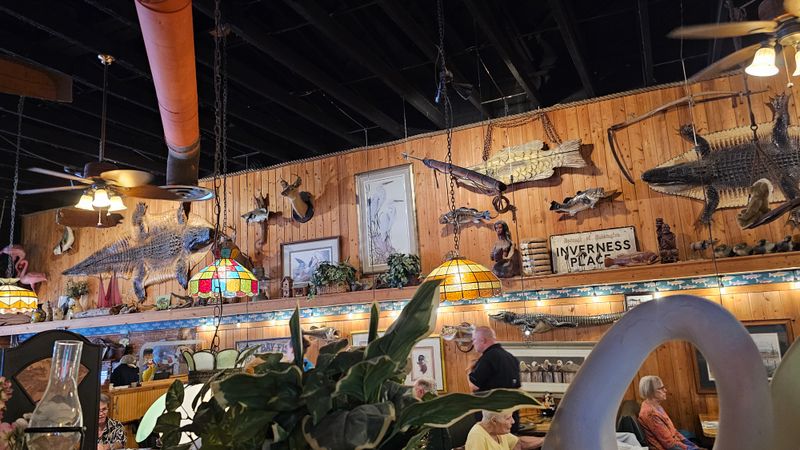 A Brief History and Local Roots