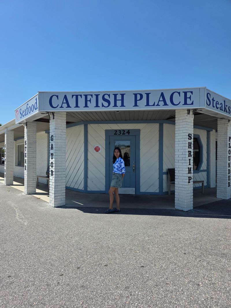 A Brief History And Ownership Notes