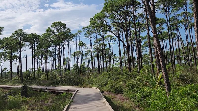 Access To Miles Of Undeveloped Barrier Island Shoreline