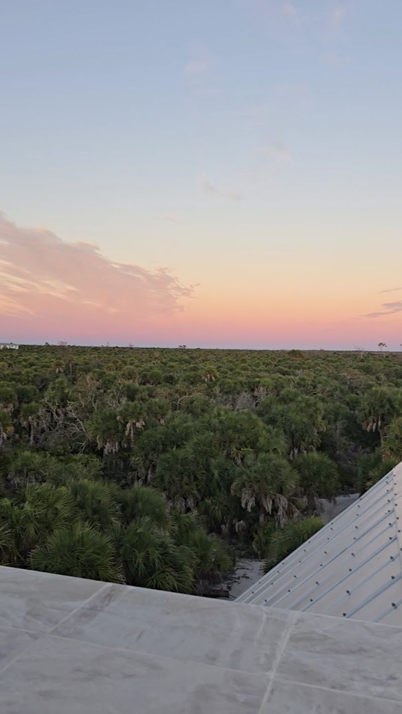 Rich Wildlife And Natural Ecosystems