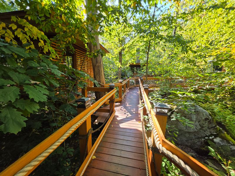 Immersive Nature Experience with Birdsong and Foliage