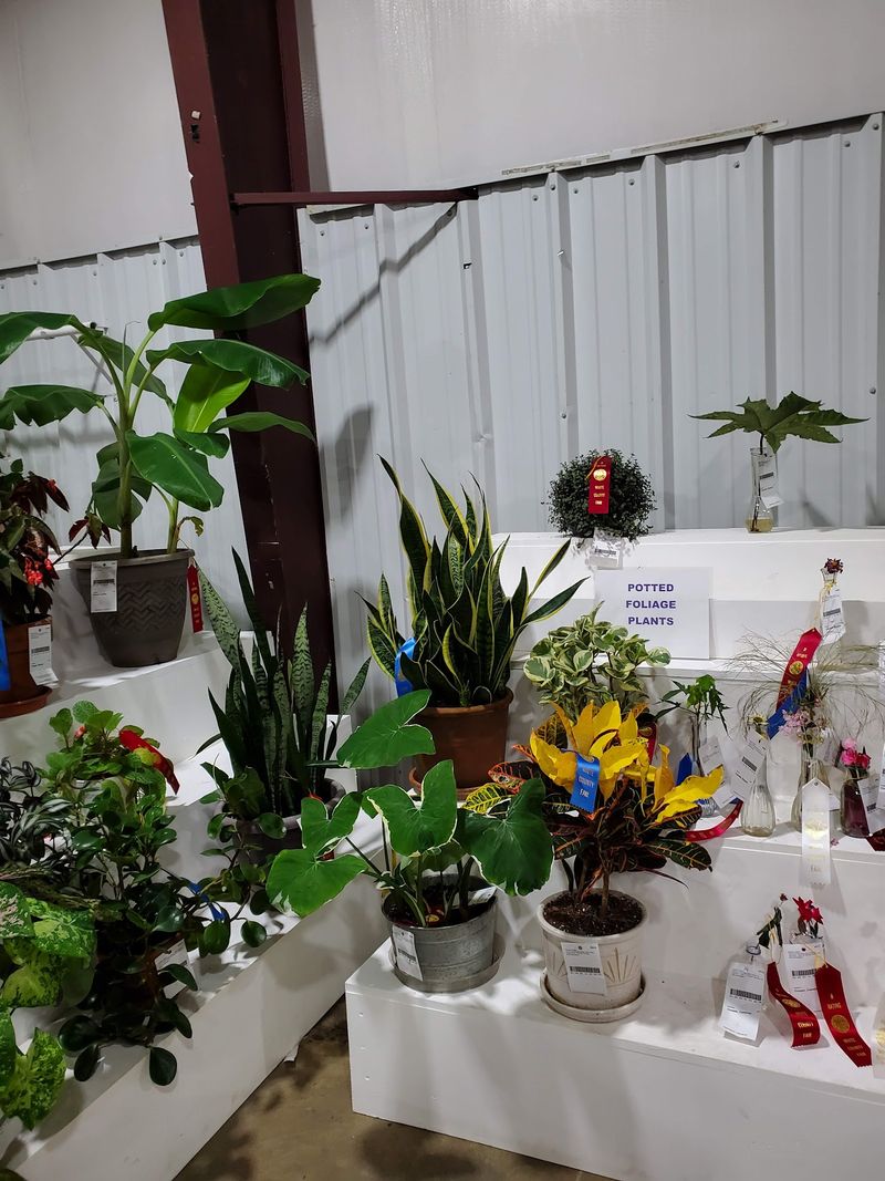 Exhibit Buildings Show Off Local Pride