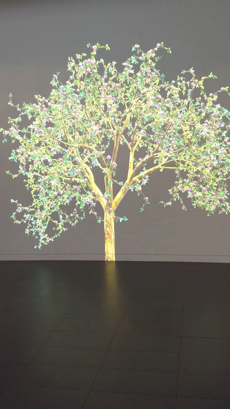 Exhibits That Keep Changing