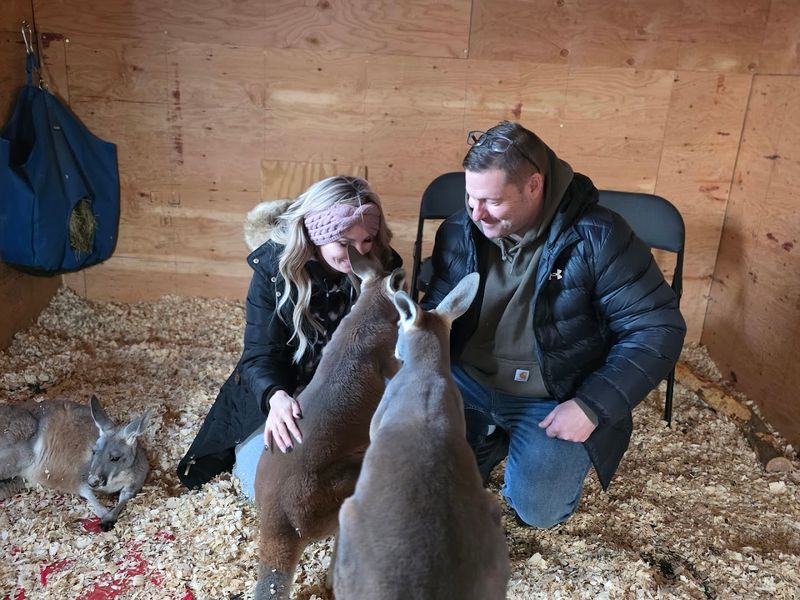 The Famous Kangaroo Experience