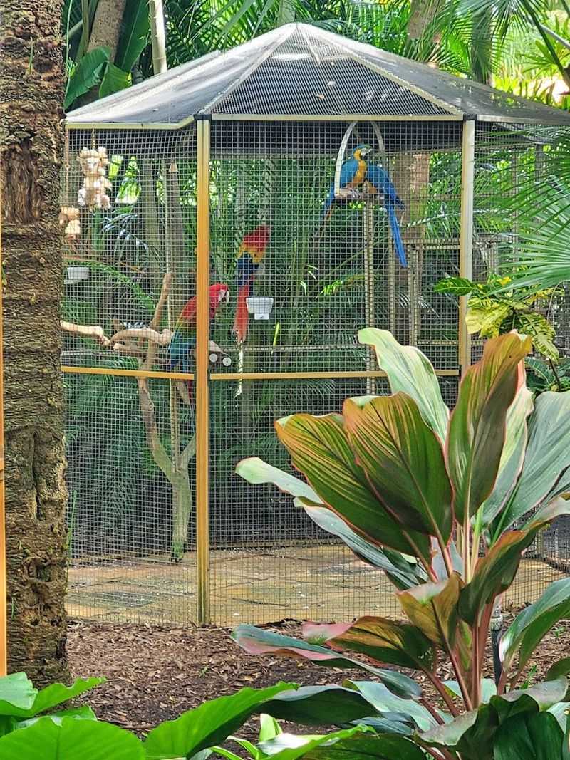 Wildlife Encounters Beyond The Flamingos