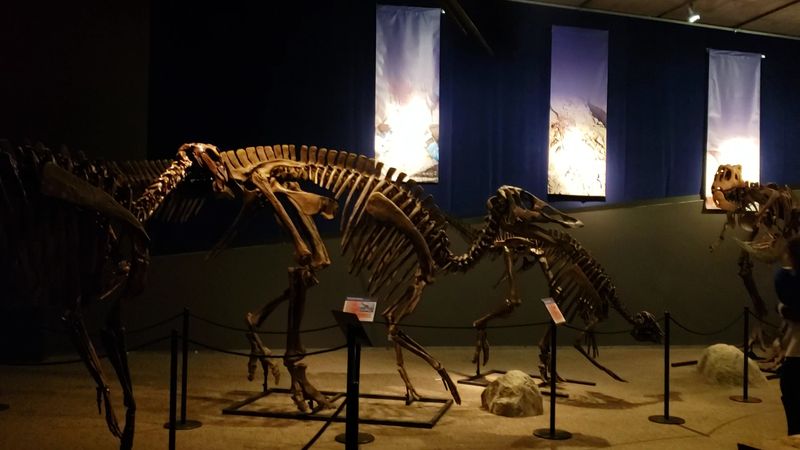 Expect A Focused Museum, Not A Marathon