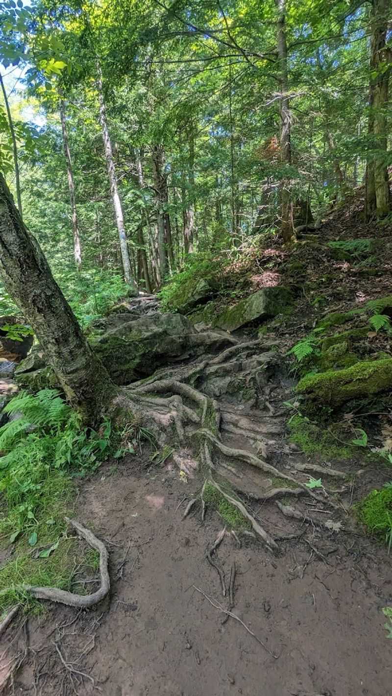 Expect Mud, Especially After Rain Or Snowmelt
