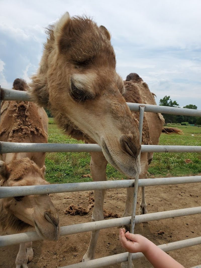 Plan The Perfect Visit With Seasonal Activities And Tips