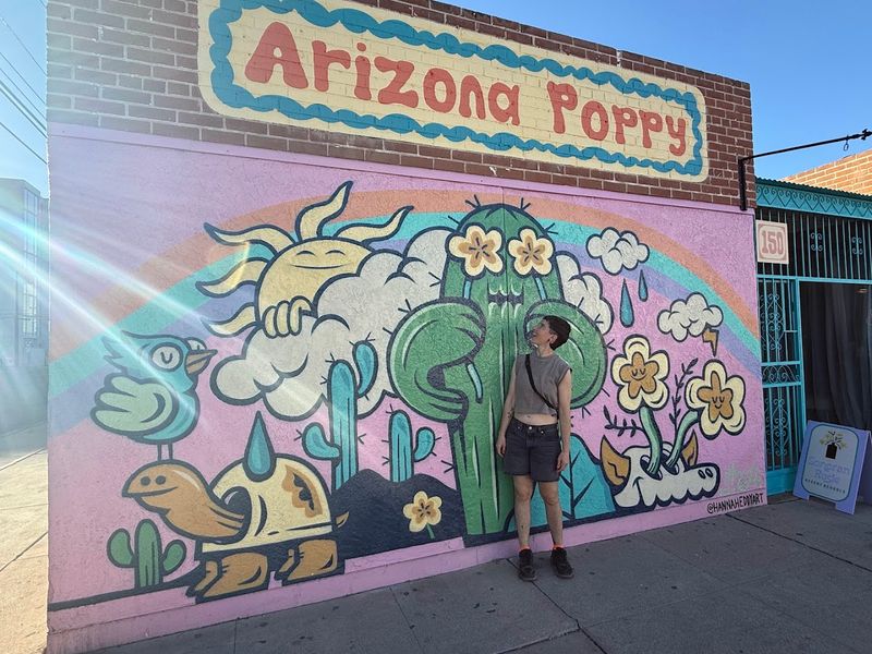 Why Arizona Poppy Season Is Worth The Trip