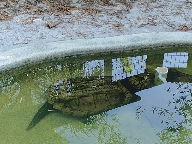 Enjoy Affordable Family Entertainment Away From Theme Parks