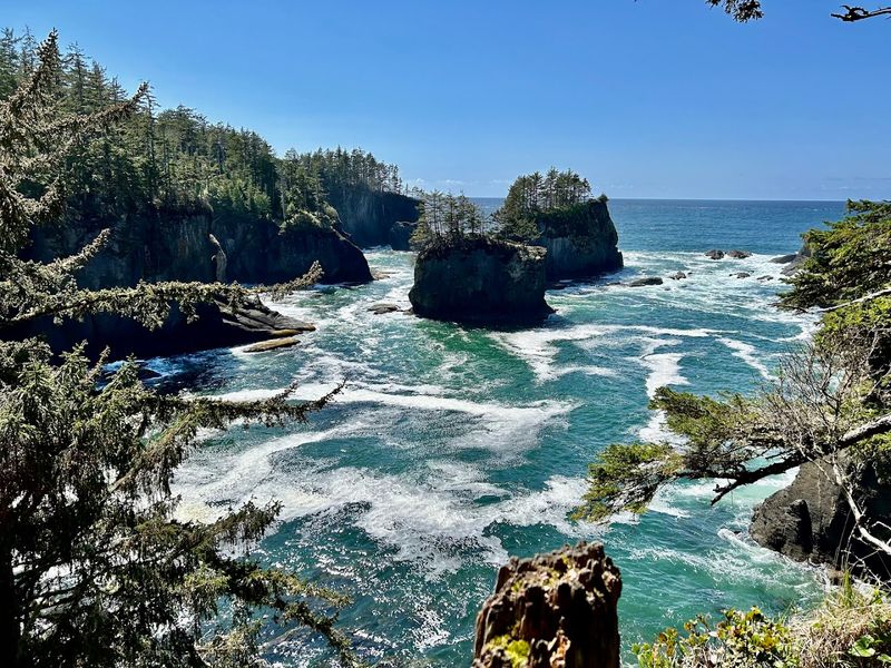 Experience The Dramatic Edge Of Cape Flattery