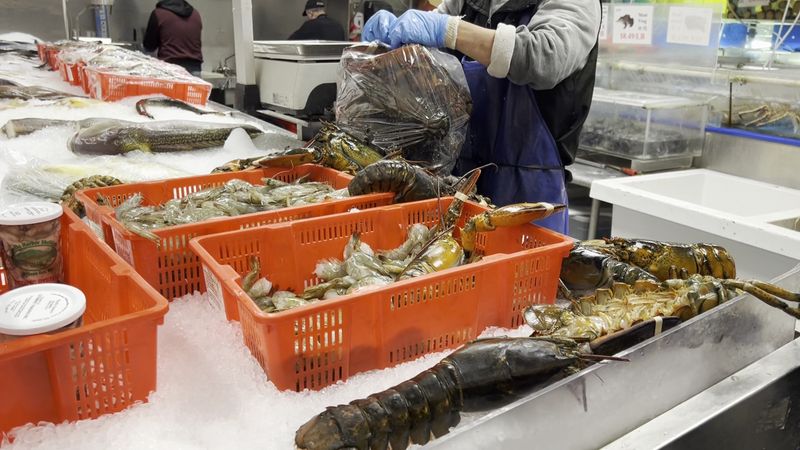 Experience The Live Seafood Selection