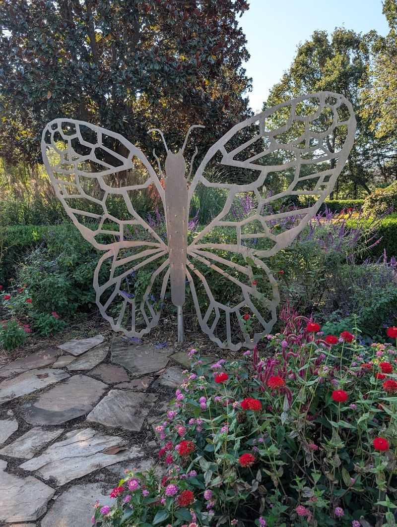 A Hidden Garden Where Monarchs Gather Each Spring