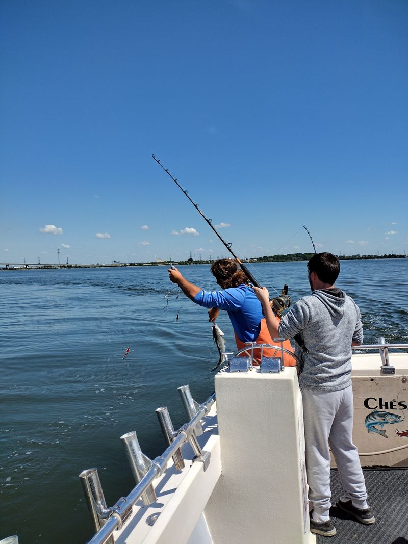 Go Fishing In Backcountry Or Coastal Estuaries