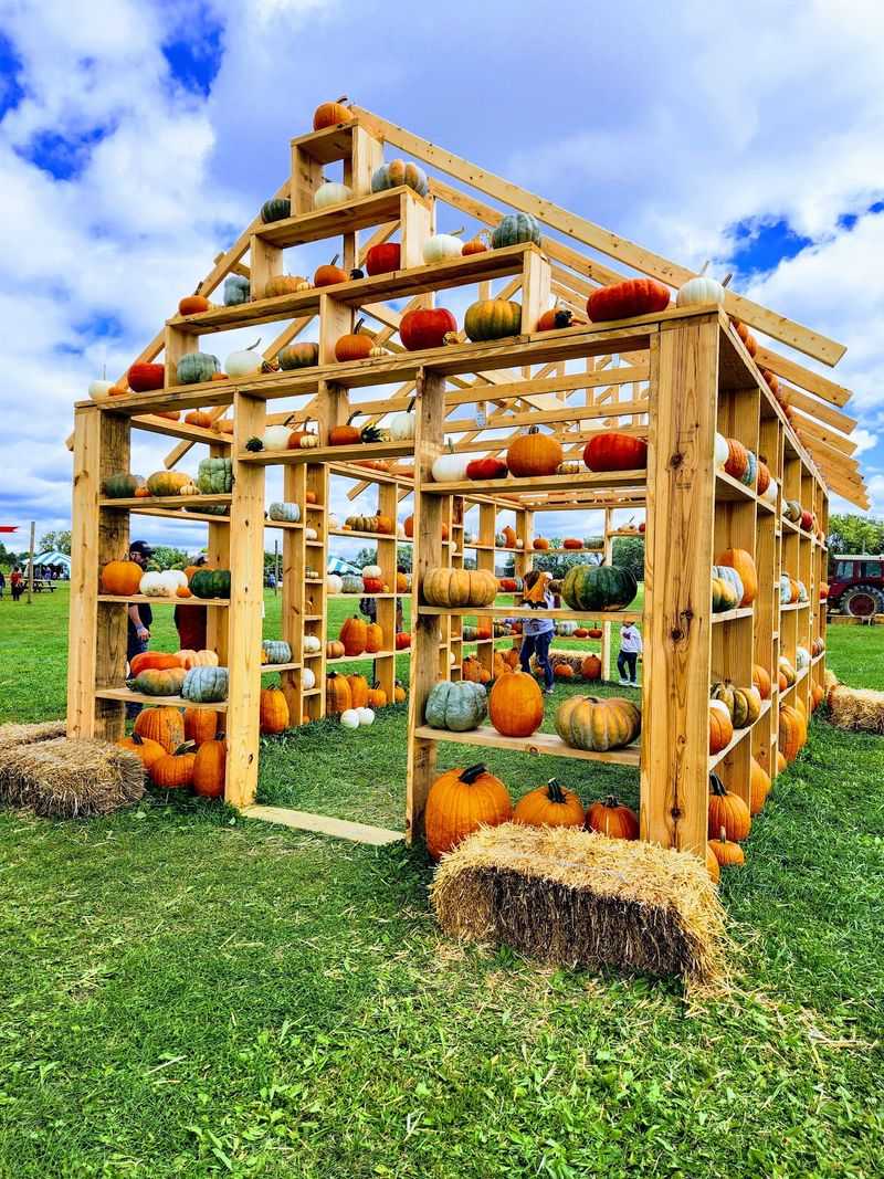 Experience Themed Fall Festivals