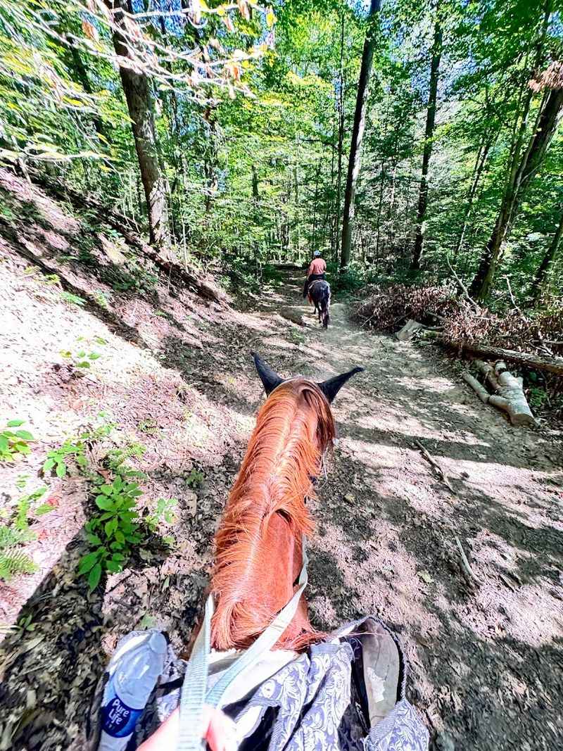 Expert Guides Who Know the Land