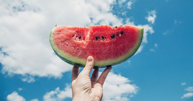 Your Stomach Acid is a Seed-Destroying Machine