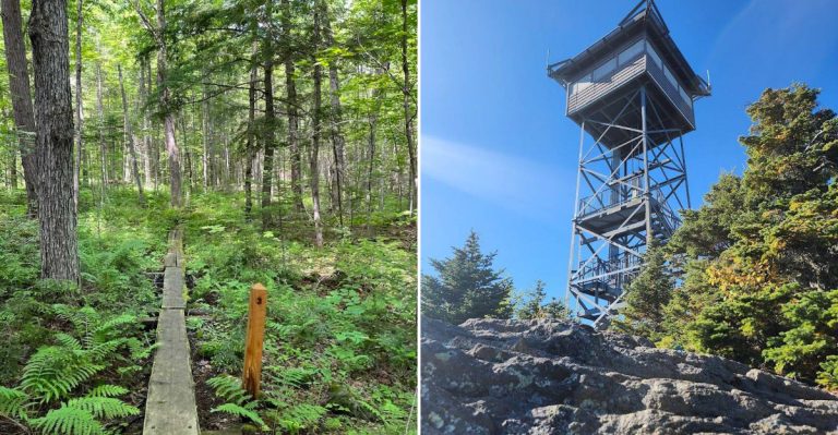 Explore A Maine Park That Looks Straight Out Of A Wildlife Documentary