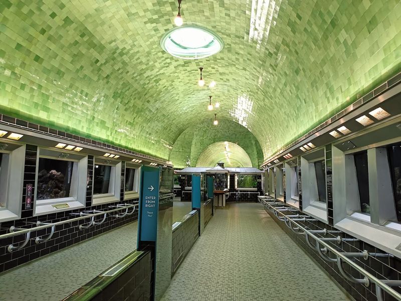 Explore Belle Isle Aquarium For World Ocean Day, June 7