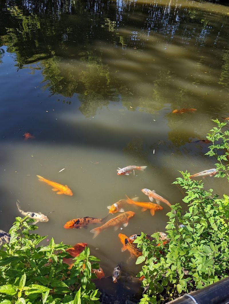 Experience Close Up Animal Encounters And Feeding Times