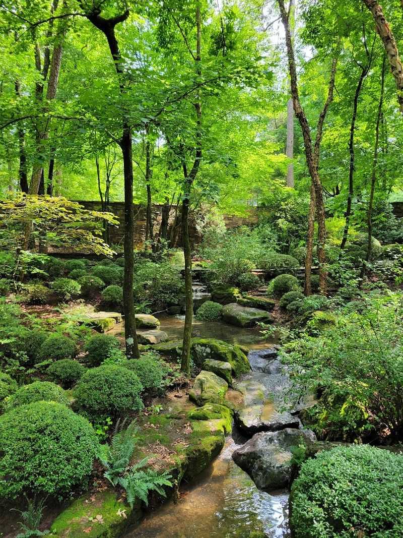 Wander Through Garvan Woodland Gardens, Hot Springs
