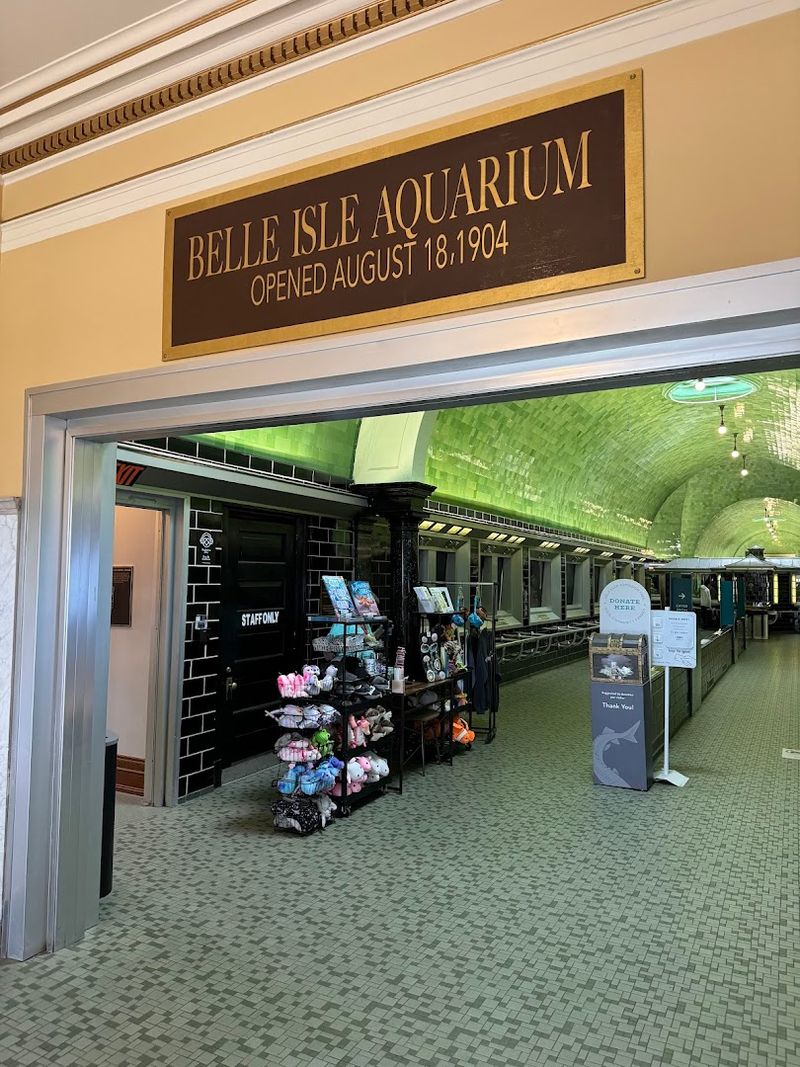 Appreciate The Historic Comeback