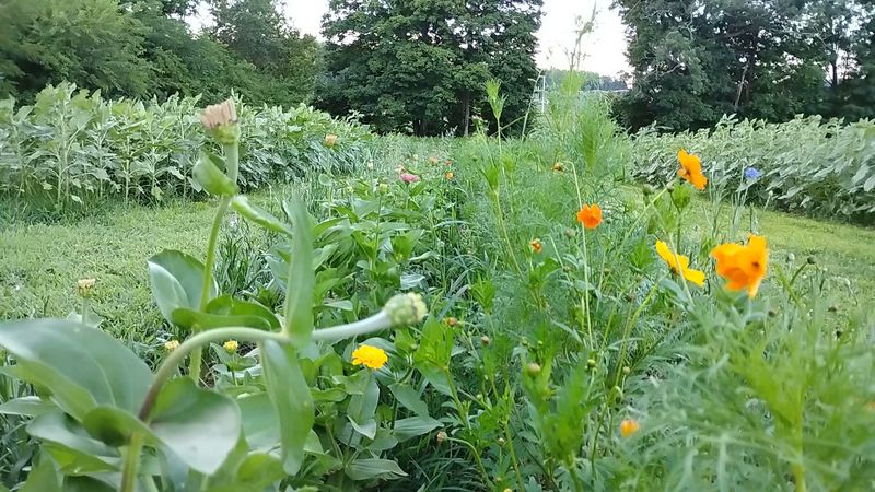 Pack For A Full Fall Weekend Adventure