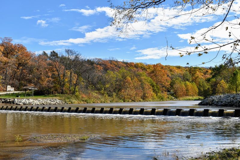 Explore Nature's Wonders At Pammel State Park