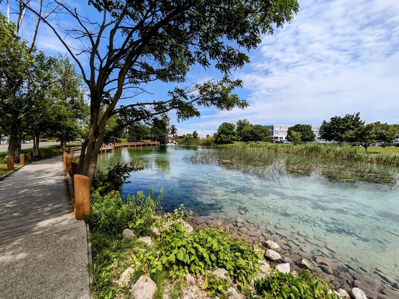 Explore Scenic Trails Nearby