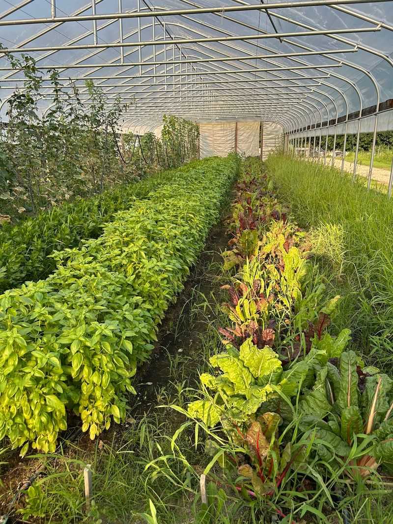 Explore The Fields With Care