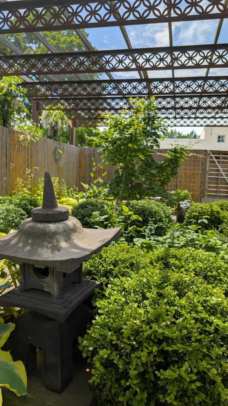Explore The Medicinal Garden Carefully