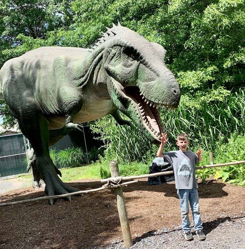 The Outdoor Dinosaur Walk Is A Crowd Favorite