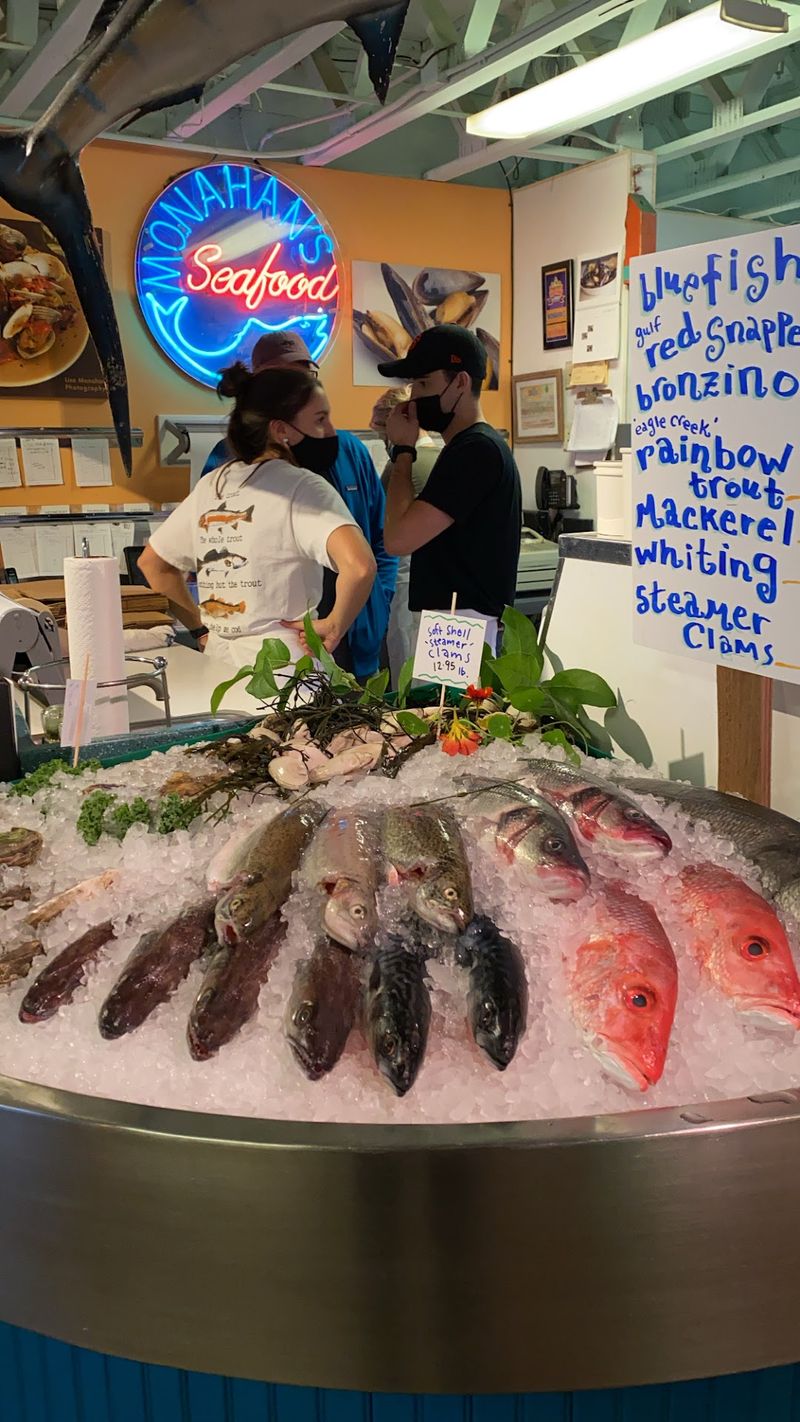 Explore The United Nations Of Fish