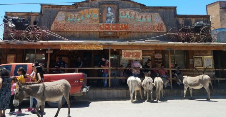 Explore This Quirky Ghost Town In Arizona Famous For Its Charming Wild Donkeys