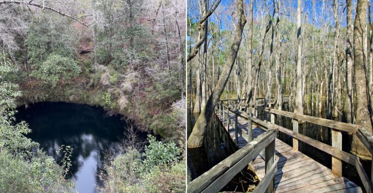 Explore Vanishing Streams, Hidden Caverns And Massive Sinkholes On This Surreal 5-Mile Florida Trail