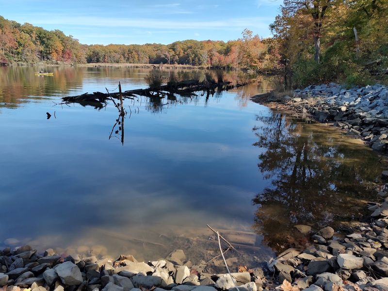 Exploring Mallows Bay On Foot